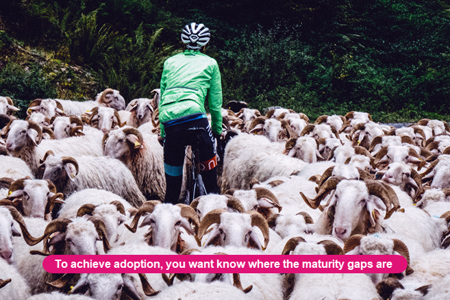 Legal Ops maturity gaps are known Legal Ops maturity gaps are known